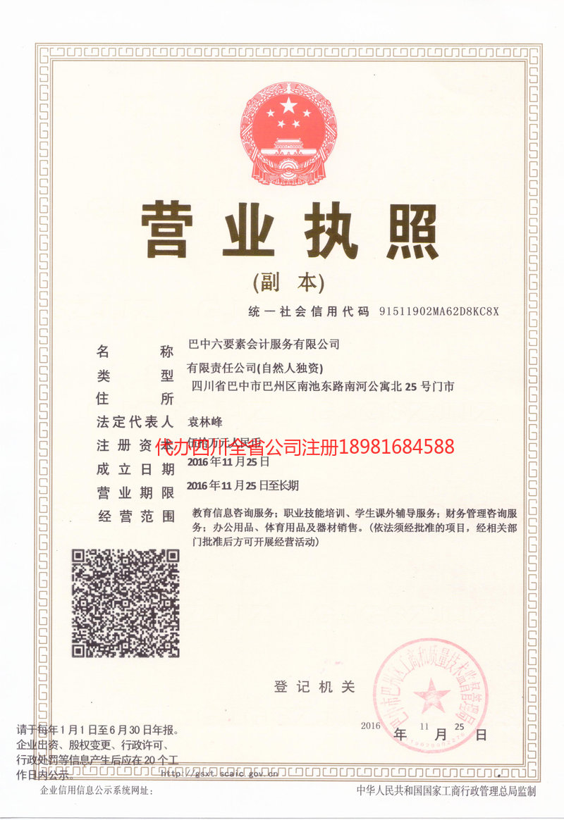 项城项城六要素会计服务有限公司